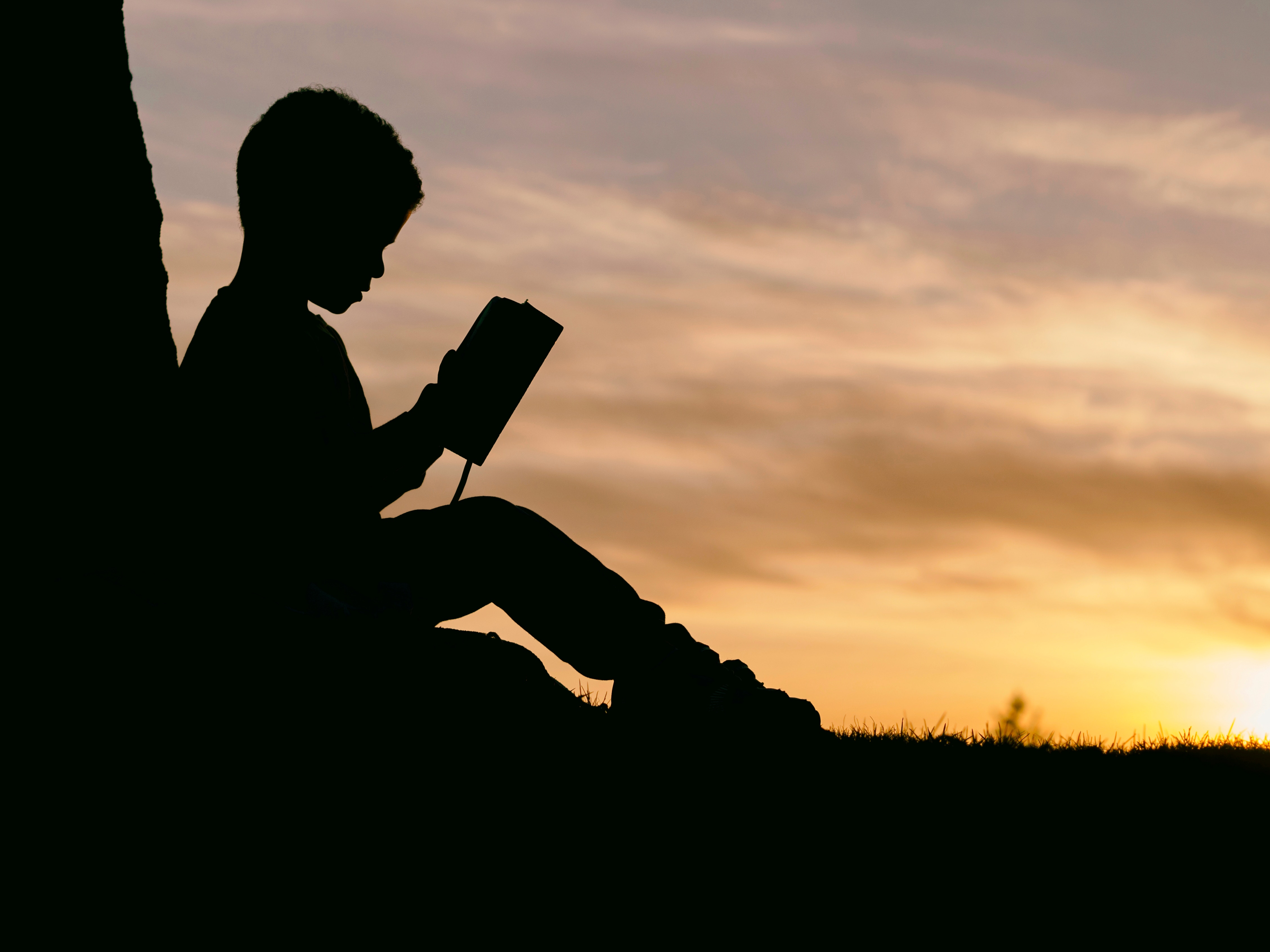 young boy reading during sundown