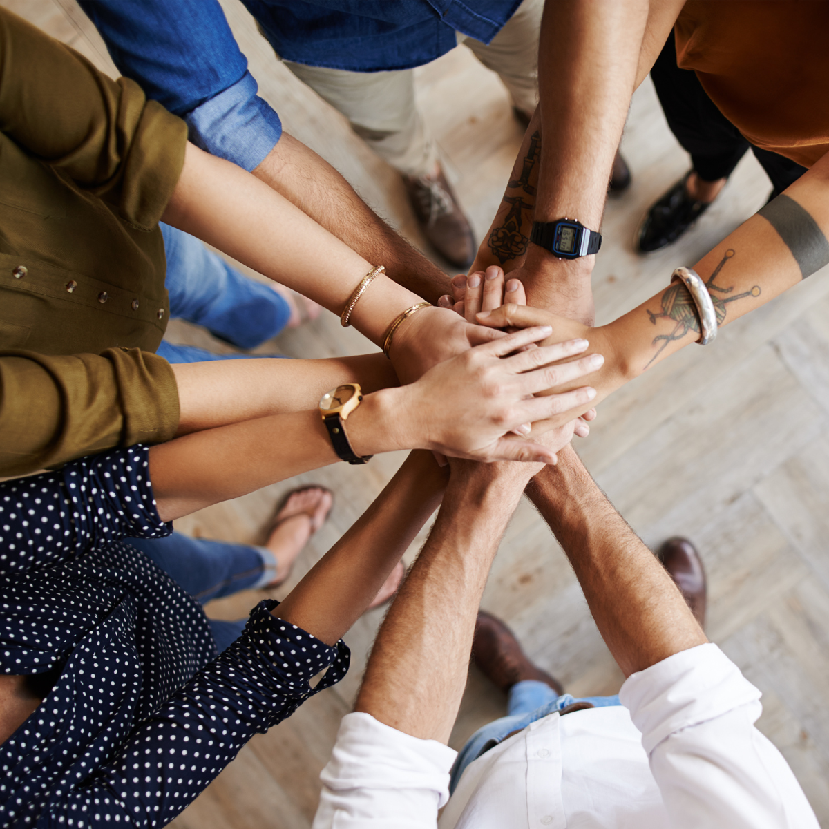 Members & Partners Directory
